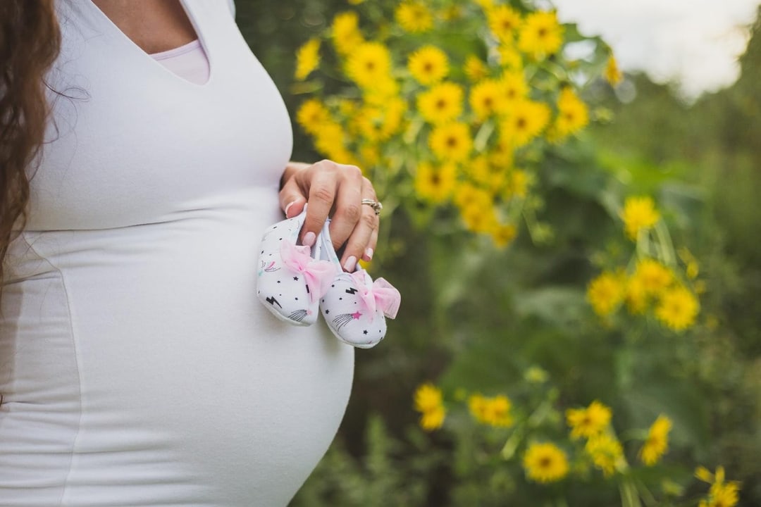 second trimester pregnancy
